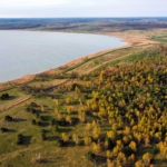 Land Lot Buy Sell Real Estate Realtor Broker