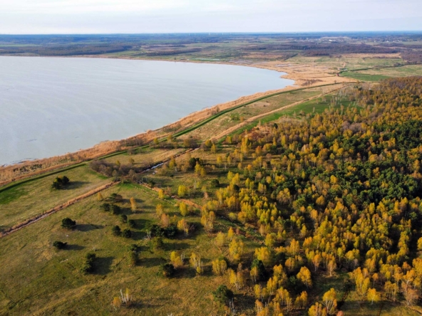 Land Lot Buy Sell Real Estate Realtor Broker